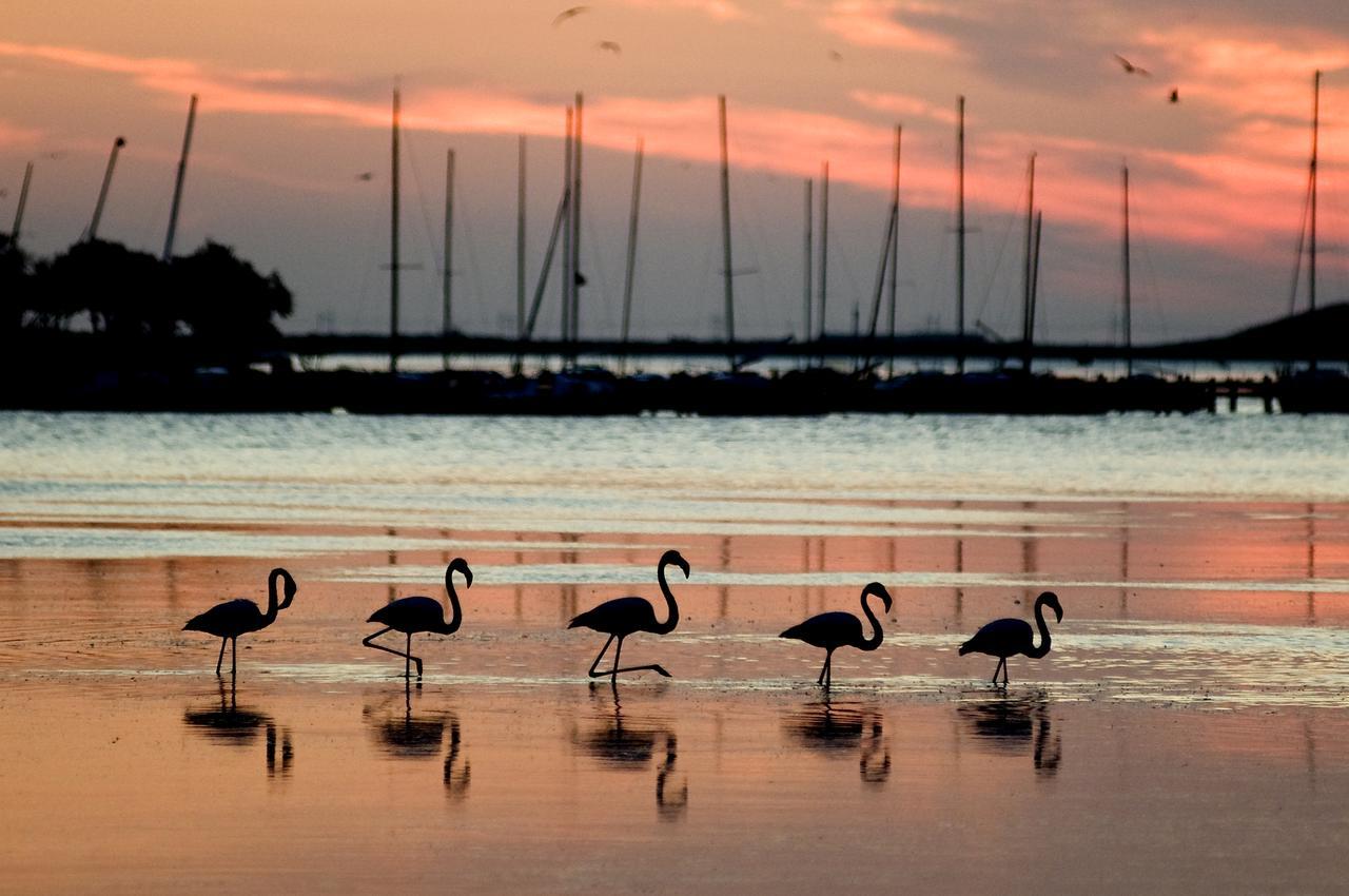 Le Flamant Rouge Guesthouse Peyriac-de-Mer Zewnętrze zdjęcie