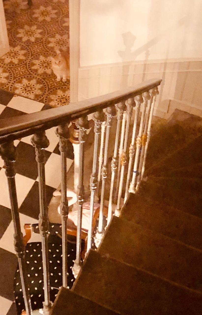 Le Flamant Rouge Guesthouse Peyriac-de-Mer Zewnętrze zdjęcie