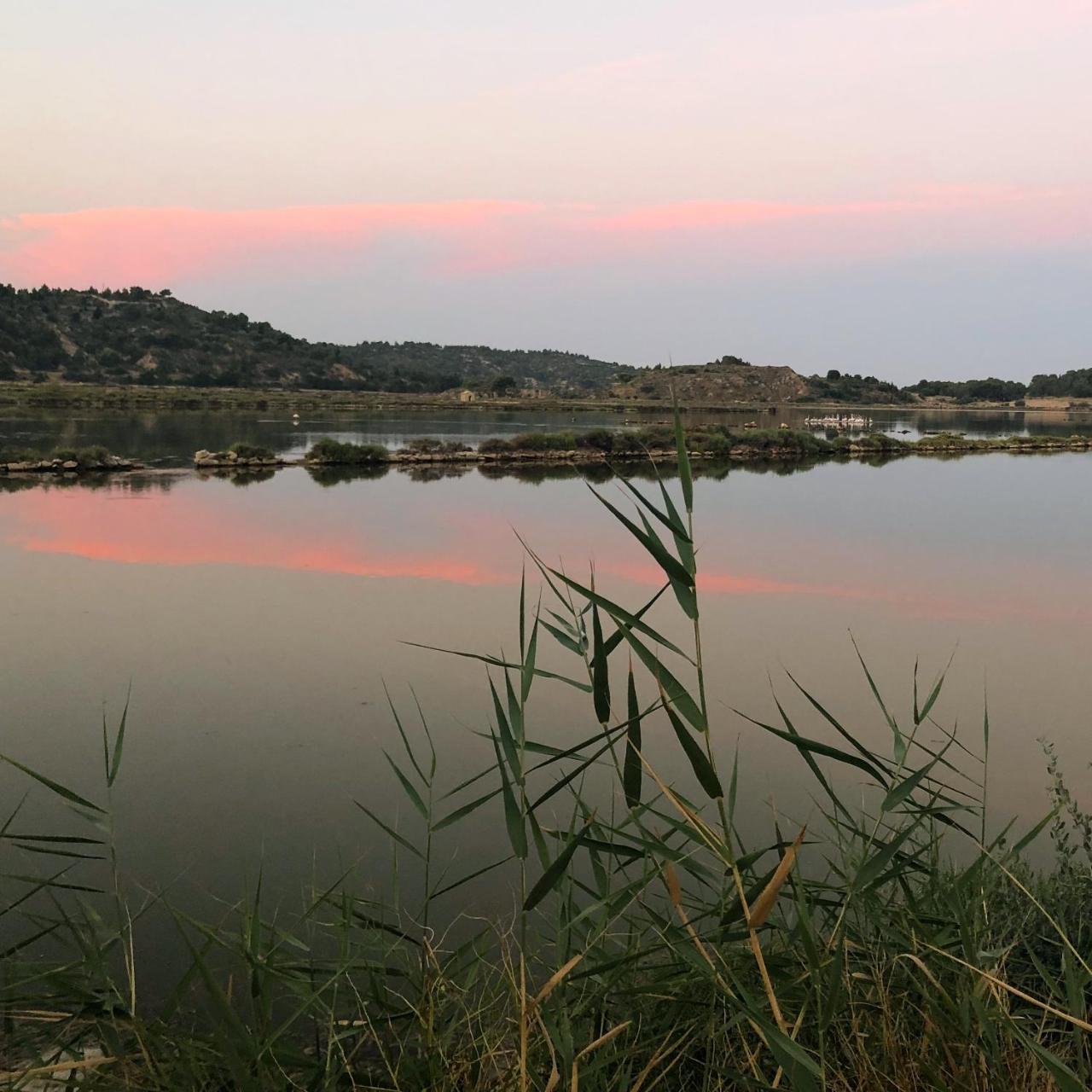 Le Flamant Rouge Guesthouse Peyriac-de-Mer Zewnętrze zdjęcie